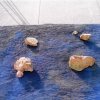 glaronissia 2-70x100